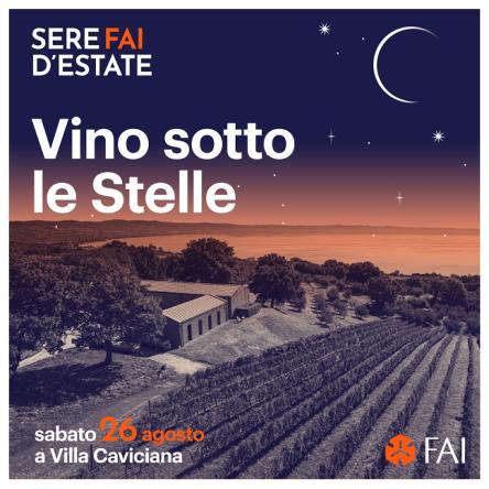 Vino sotto le stelle