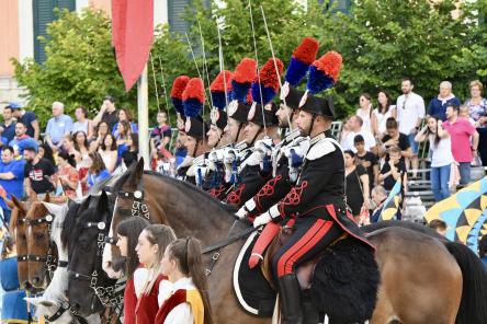 Al Senato: Il cavallo contro il bullismo, mission sociale della Giostra Cavalleresca di Sulmona