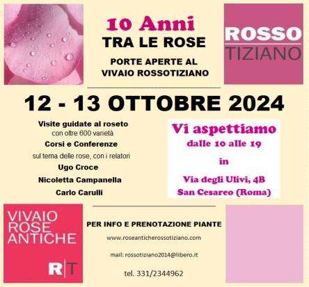 Dieci anni di rose