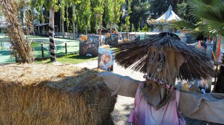 Halloween for family a Zoomarine. Un mese da brividi con super novità