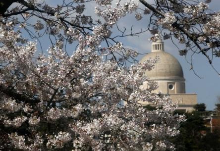 Roma c'è! Visite guidate (anche per bambini) dell’1 e 2 marzo 2025, curate da Roma e Lazio x te